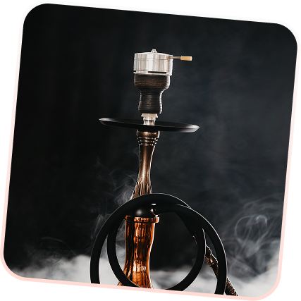 Exclusive Selection of Top Brands